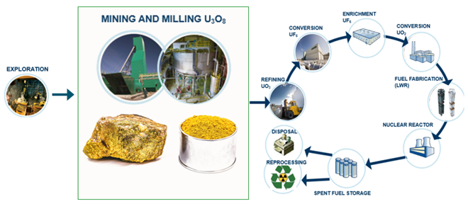 Figure 1. The Nuclear Fuel Lifecycle